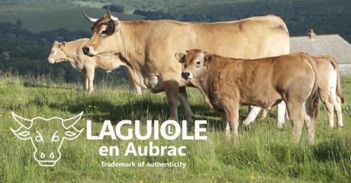 Laguiole en Aubrac im Aveyron